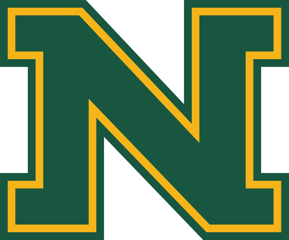 Northern Michigan Wildcats 2016-Pres Alternate Logo DIY iron on transfer (heat transfer)